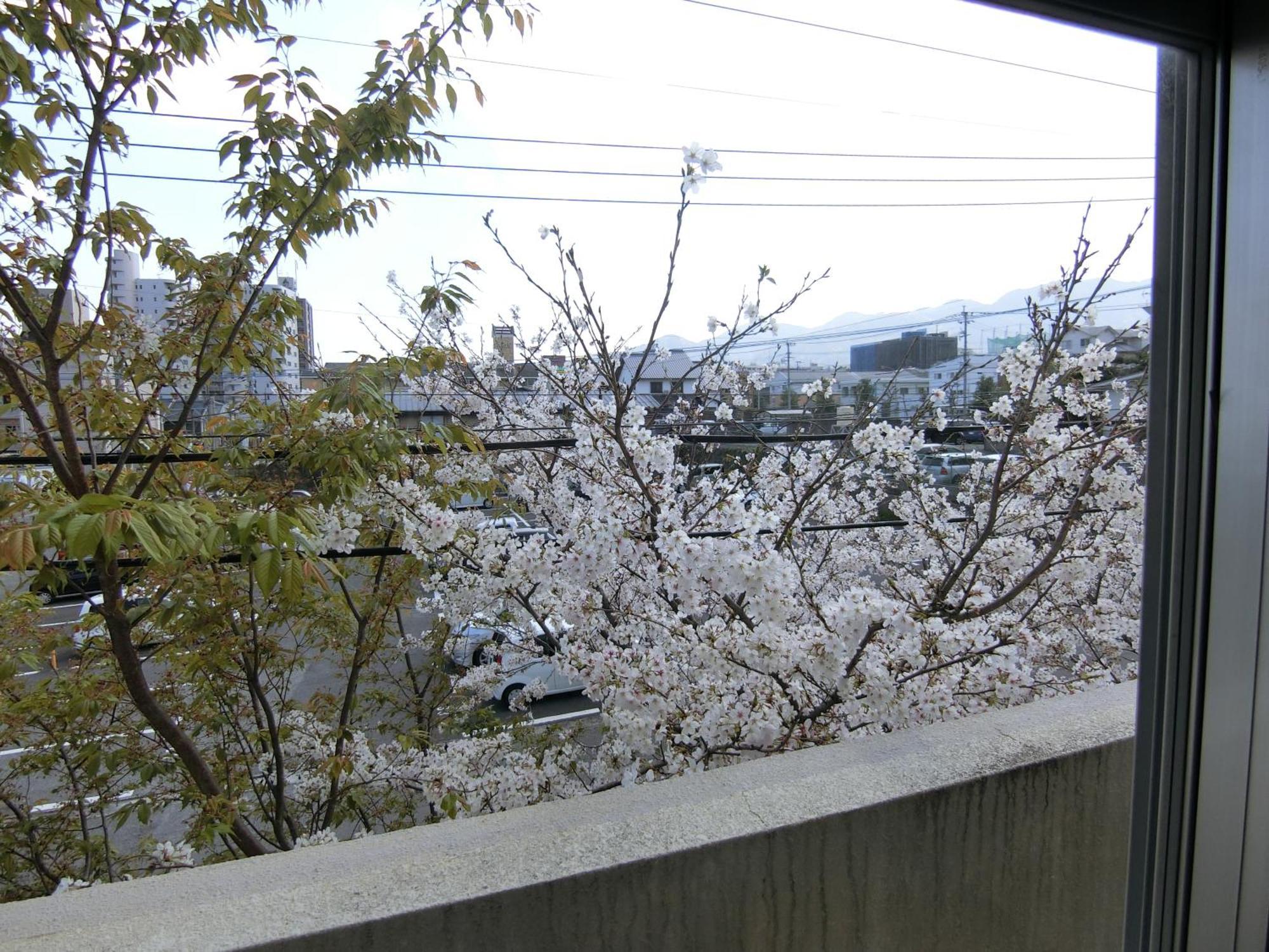 Simple Stay Beppu Zimmer foto